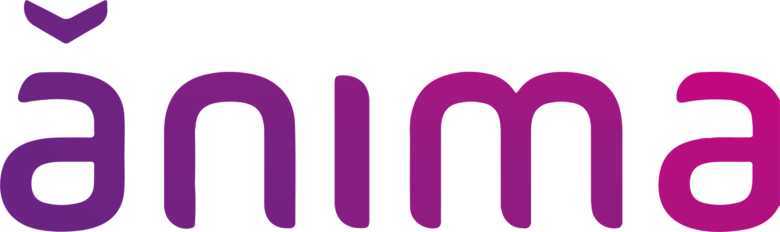 logo-anima-02